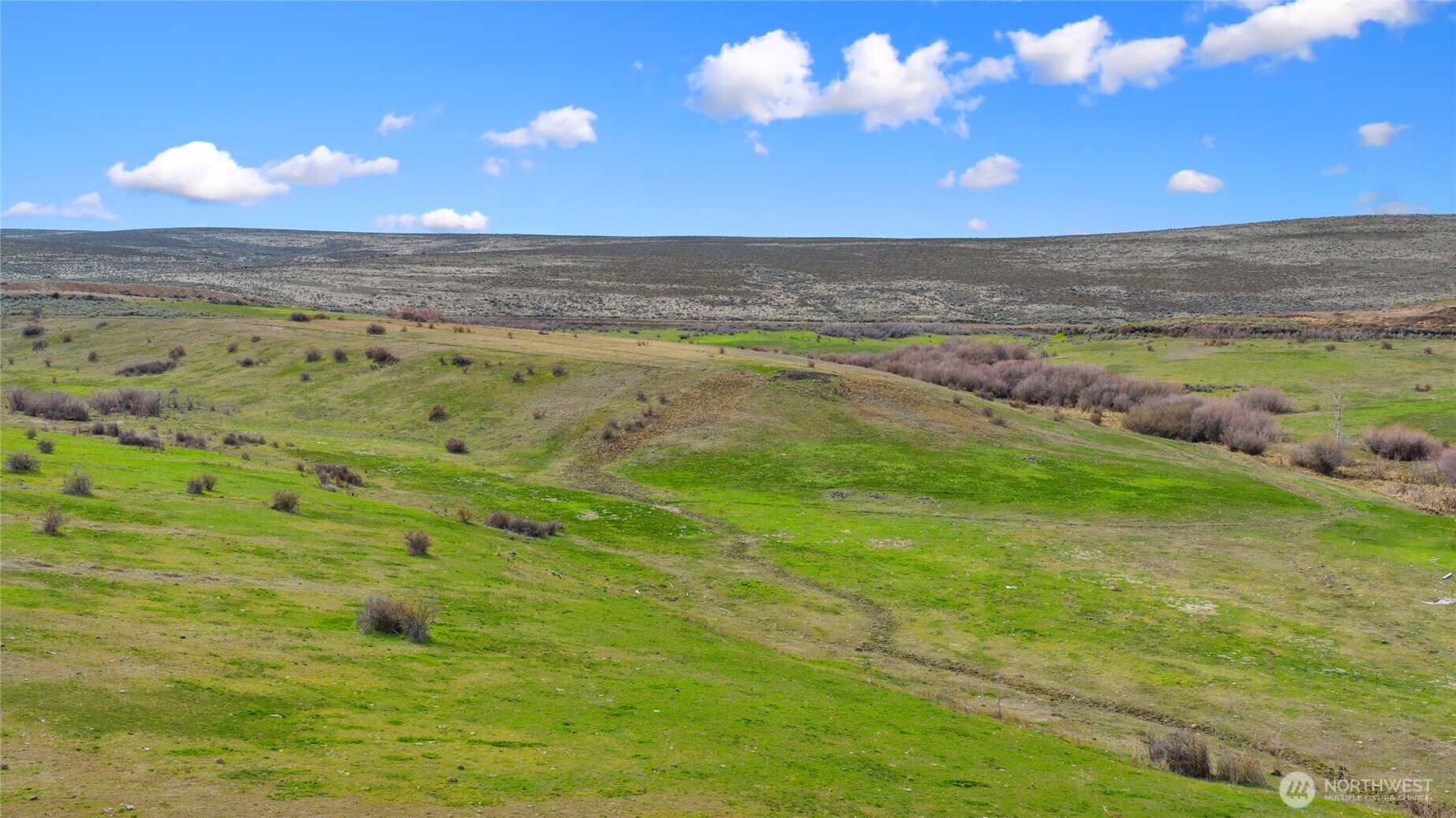 51 Trails End Drive Ellensburg WA 98926