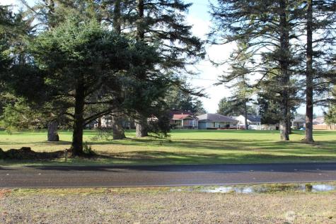 152 Dolphin Avenue SE Ocean Shores WA 98569