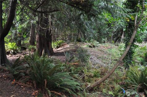 18895 W Big Lake Boulevard Mount Vernon WA 98274