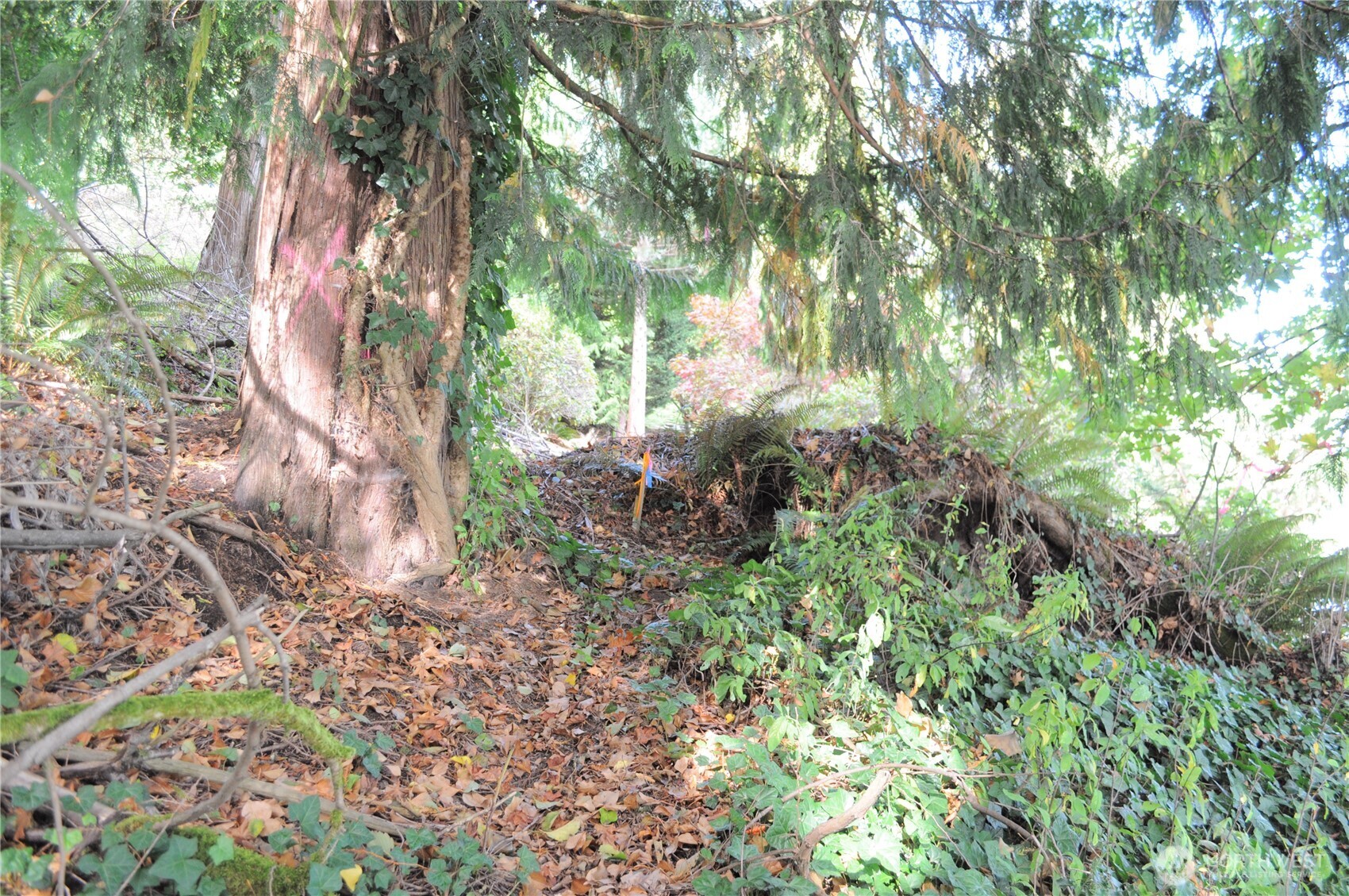 18895 W Big Lake Boulevard Mount Vernon WA 98274