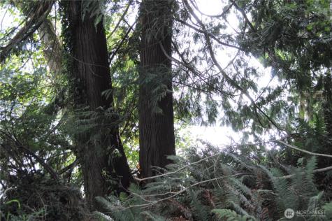 18895 W Big Lake Boulevard Mount Vernon WA 98274