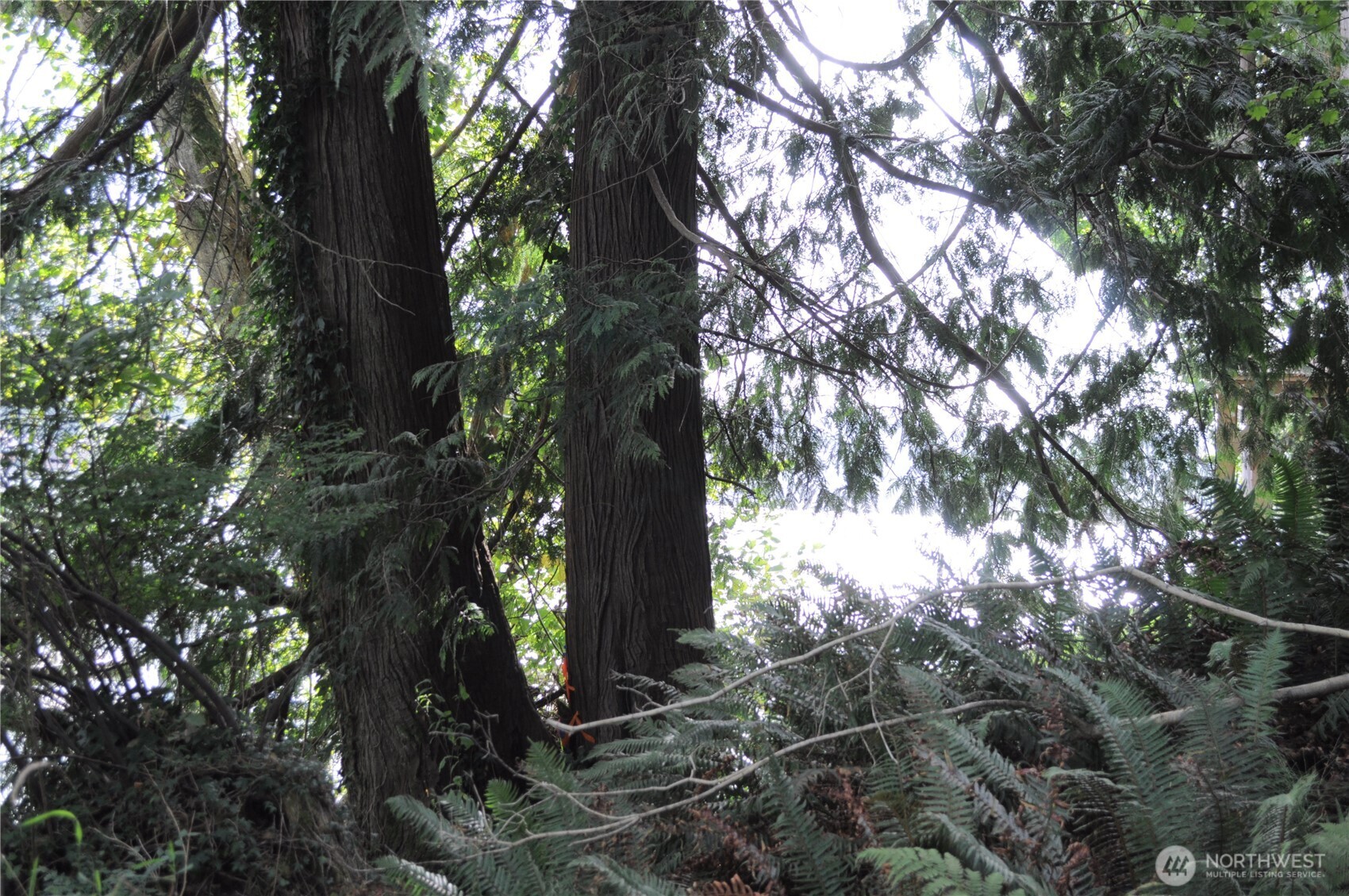 18895 W Big Lake Boulevard Mount Vernon WA 98274