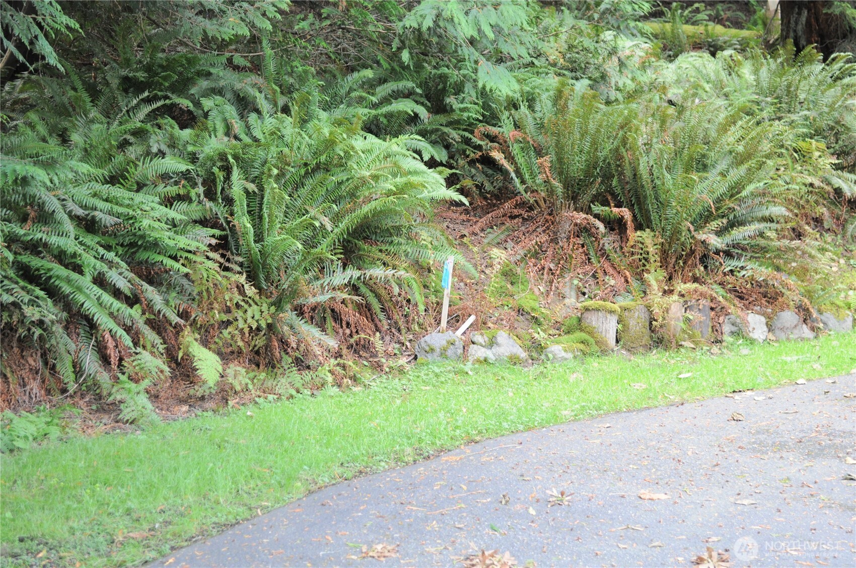 18895 W Big Lake Boulevard Mount Vernon WA 98274