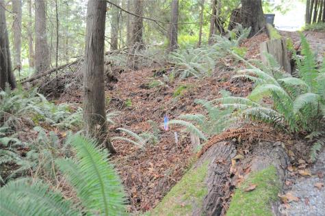 18895 W Big Lake Boulevard Mount Vernon WA 98274