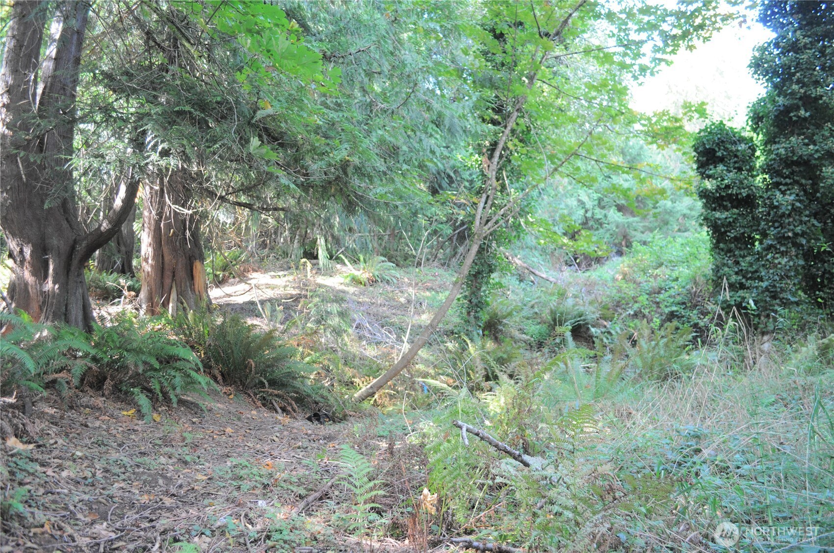 18895 W Big Lake Boulevard Mount Vernon WA 98274
