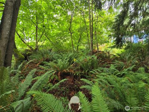 32609 NE 195th Street Duvall WA 98019