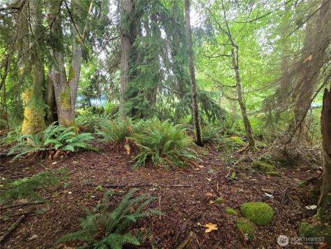 32609 NE 195th Street Duvall WA 98019