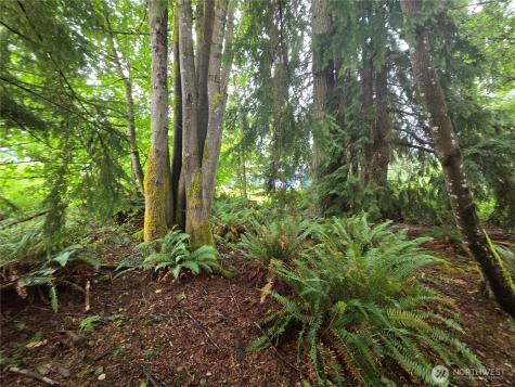 32609 NE 195th Street Duvall WA 98019