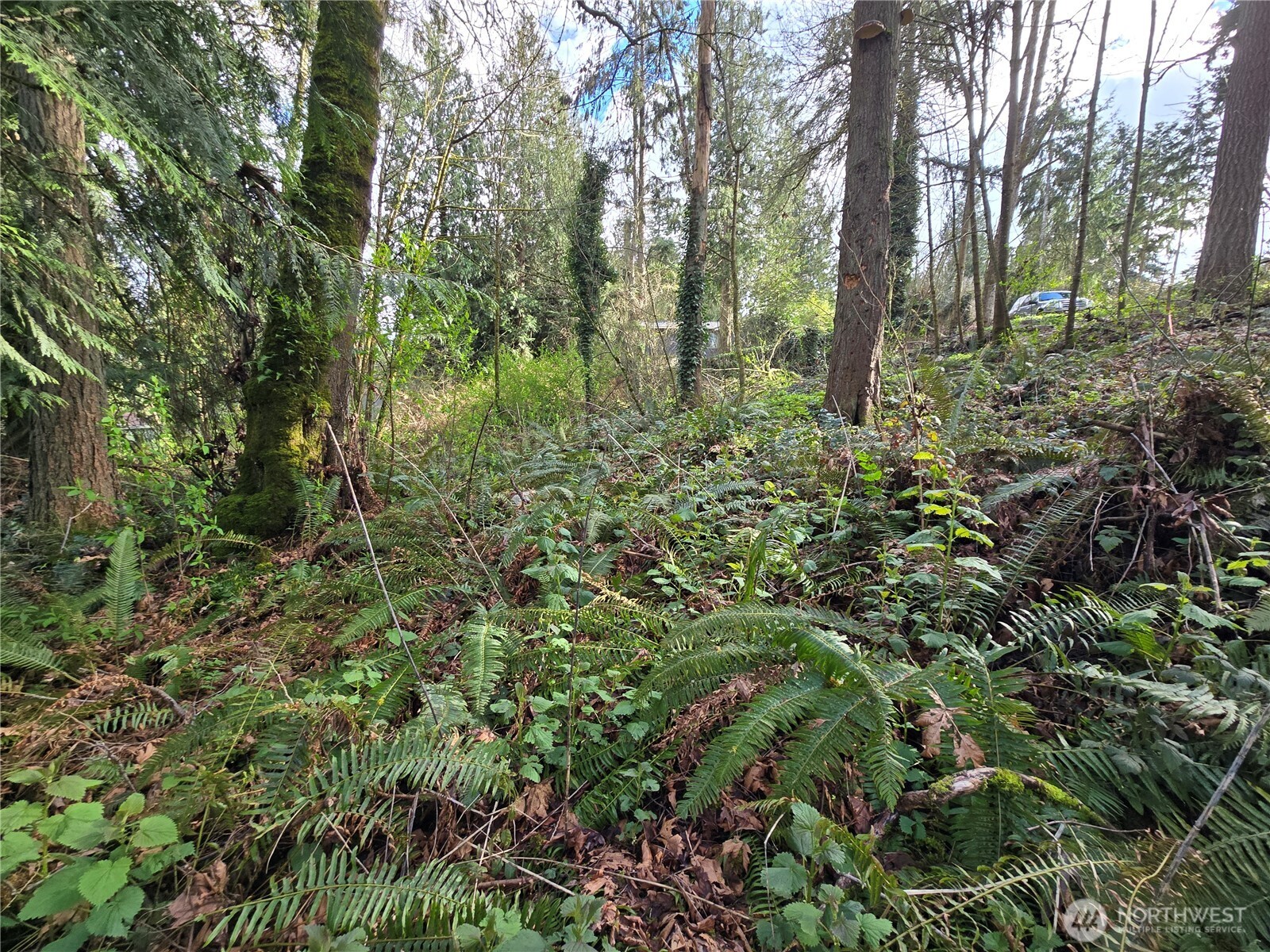 54 S 344th Street Auburn WA 98001