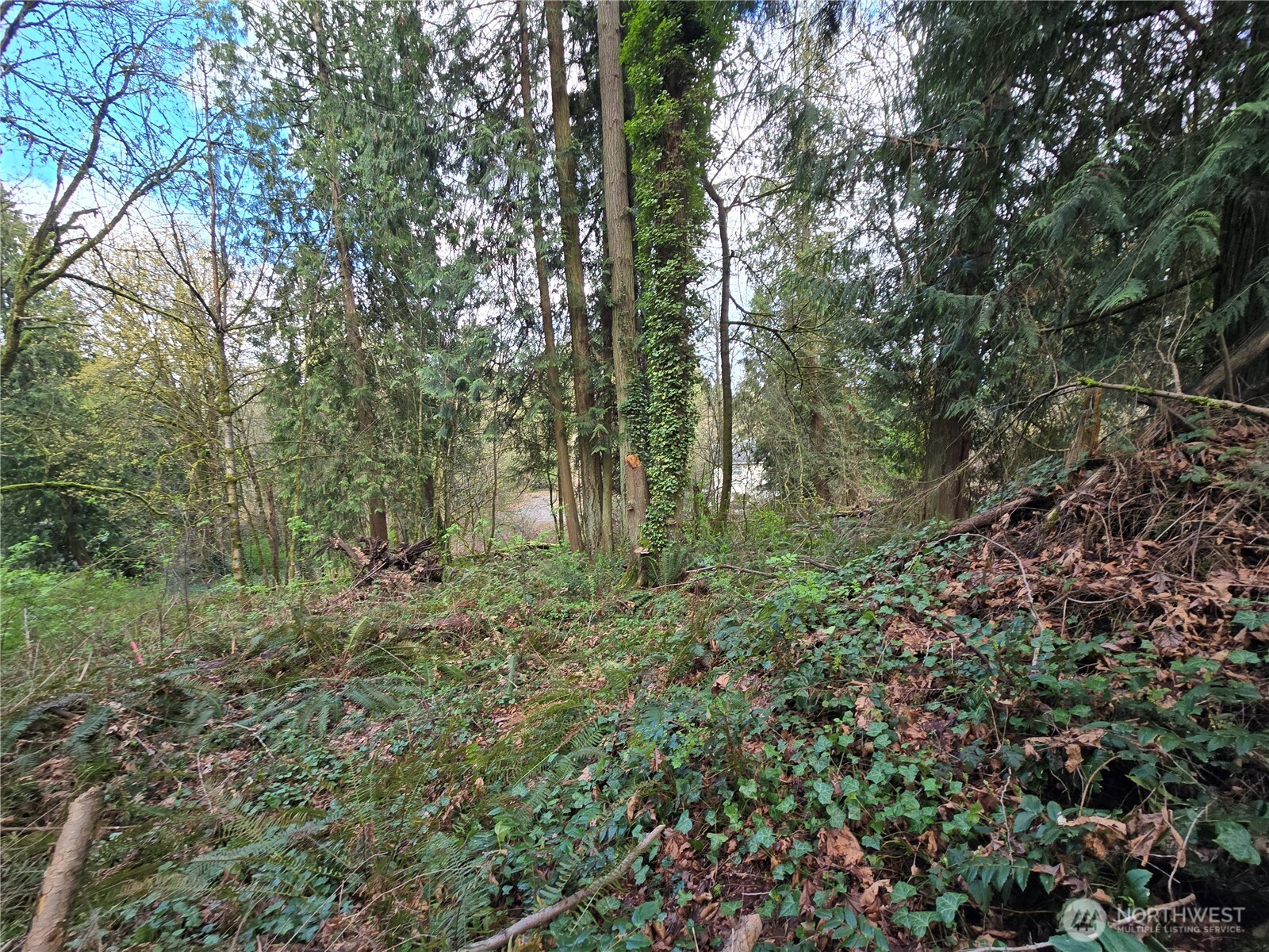 54 S 344th Street Auburn WA 98001