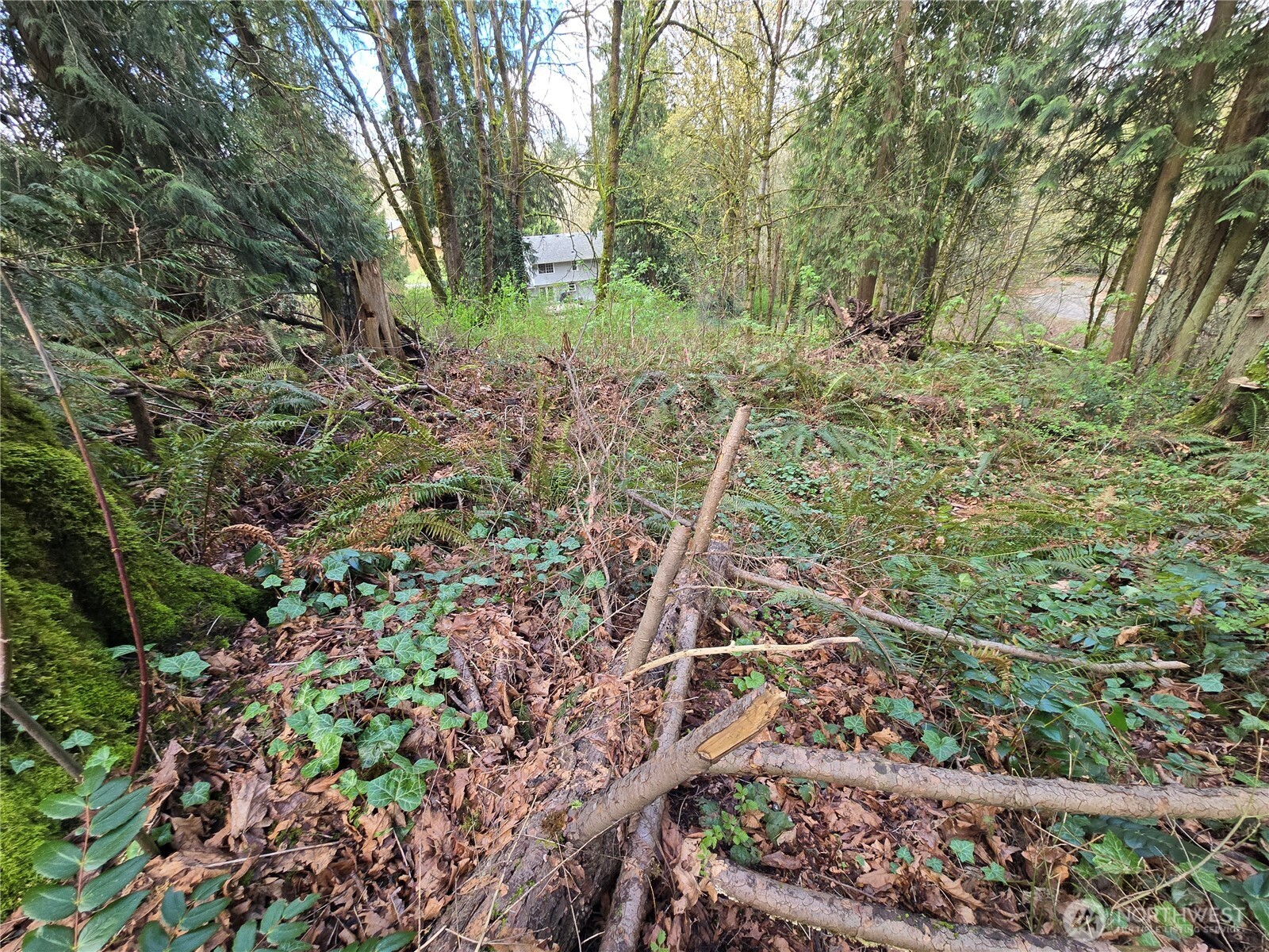 54 S 344th Street Auburn WA 98001