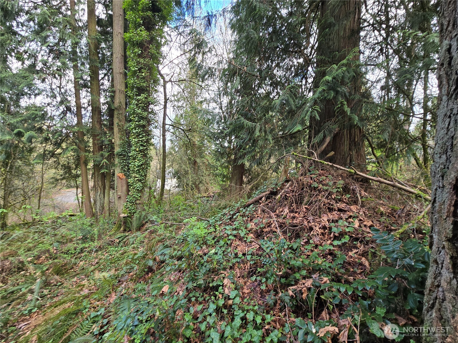 54 S 344th Street Auburn WA 98001