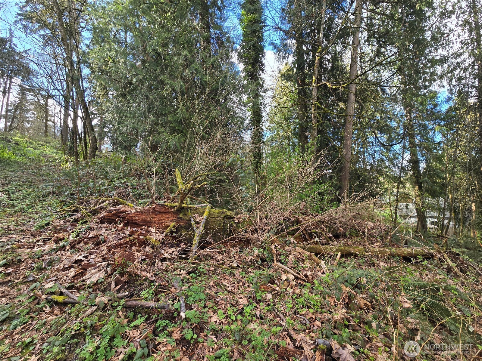 54 S 344th Street Auburn WA 98001
