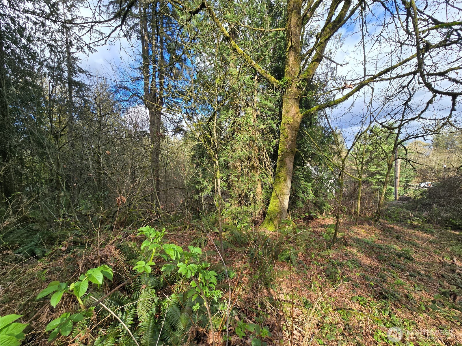 54 S 344th Street Auburn WA 98001