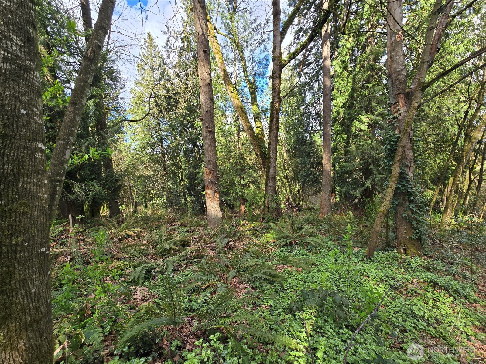 54 S 344th Street Auburn WA 98001