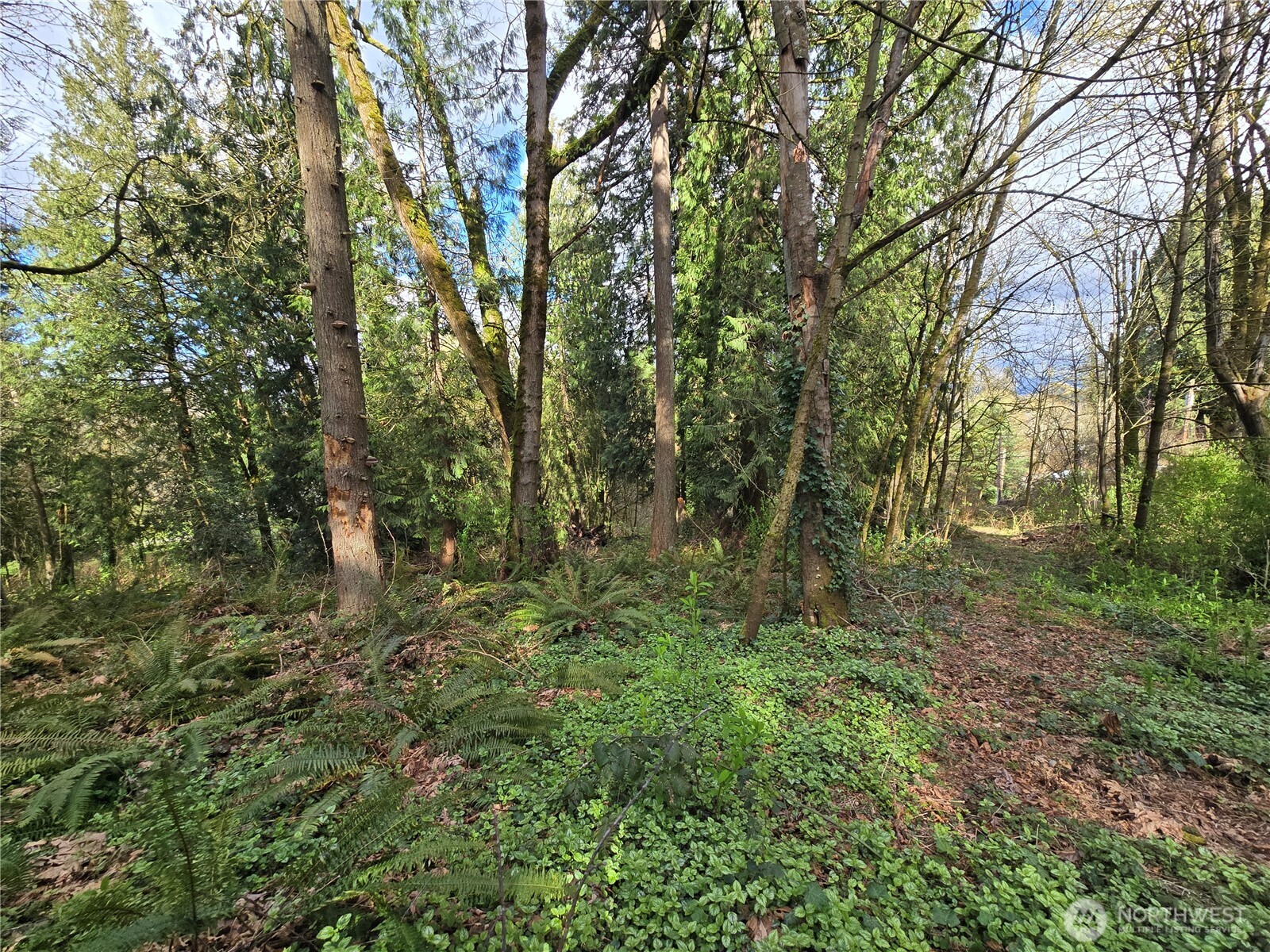 54 S 344th Street Auburn WA 98001