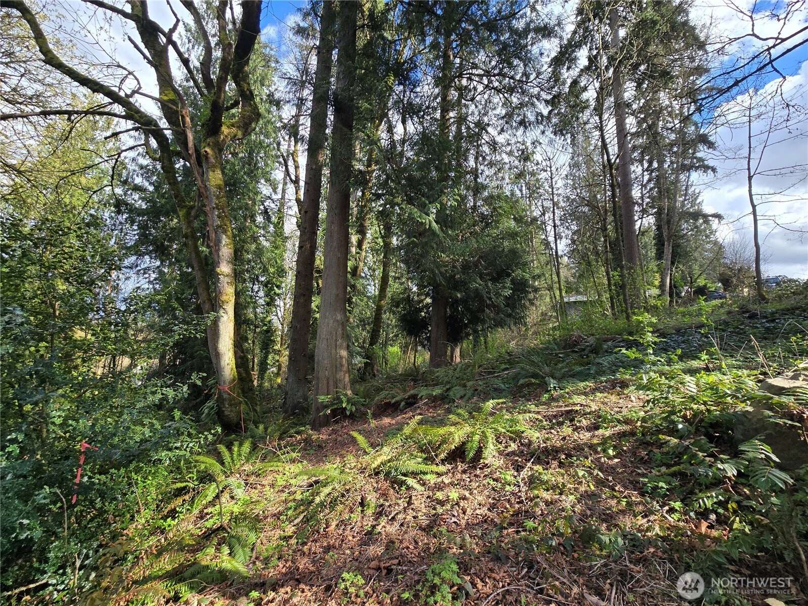 54 S 344th Street Auburn WA 98001