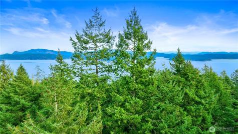 0 Misty Isle Drive Friday Harbor WA 98250