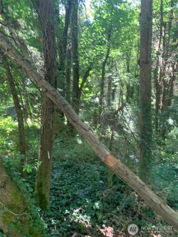 9167 SE 64th Street Mercer Island WA 98040