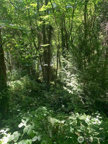 9167 SE 64th Street Mercer Island WA 98040