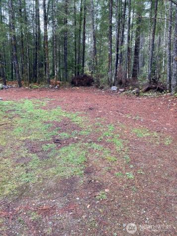 10 N Tyee Place Hoodsport WA 98548