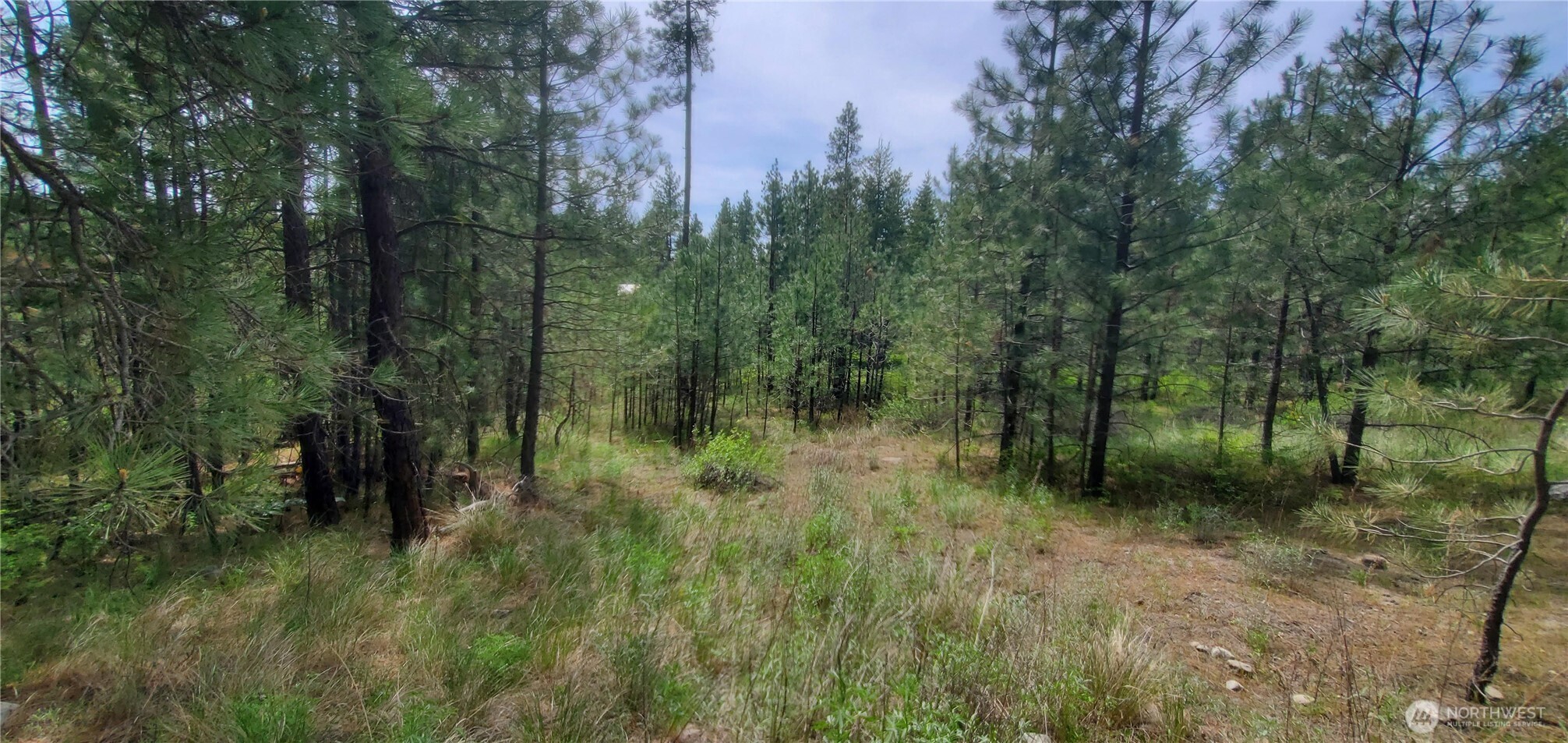 6 Okanogan River Ranches Divide 1 Tonasket WA 98855