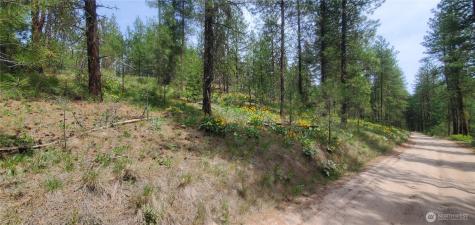6 Okanogan River Ranches Divide 1 Tonasket WA 98855