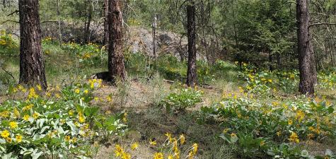 6 Okanogan River Ranches Divide 1 Tonasket WA 98855