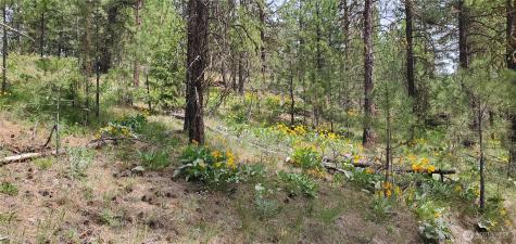 6 Okanogan River Ranches Divide 1 Tonasket WA 98855