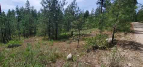 6 Okanogan River Ranches Divide 1 Tonasket WA 98855