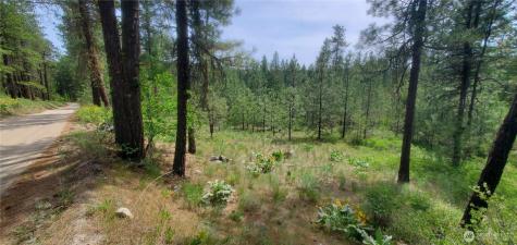 6 Okanogan River Ranches Divide 1 Tonasket WA 98855