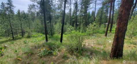 6 Okanogan River Ranches Divide 1 Tonasket WA 98855