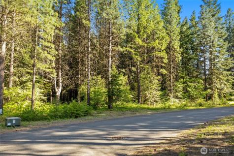 940 Iron Monarch Loop Cle Elum WA 98922