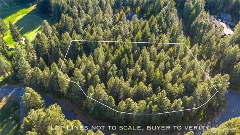 940 Iron Monarch Loop Cle Elum WA 98922