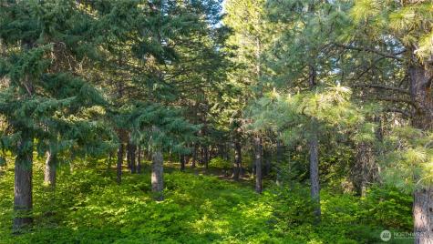 940 Iron Monarch Loop Cle Elum WA 98922