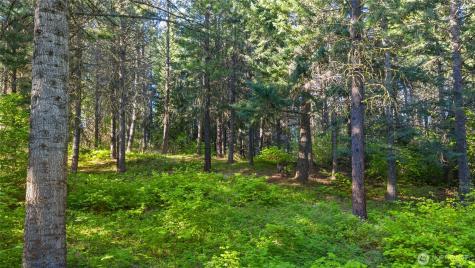 940 Iron Monarch Loop Cle Elum WA 98922