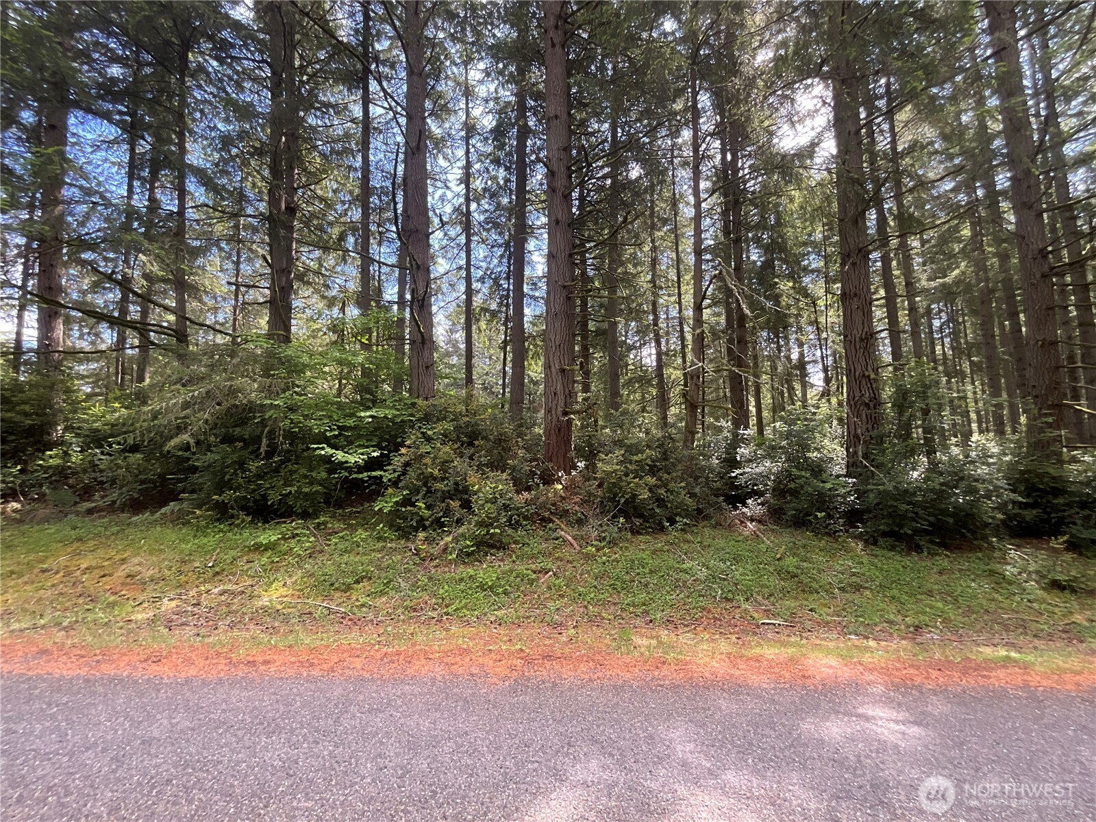 11321 Lake Josephine Avenue Anderson Island WA 98303