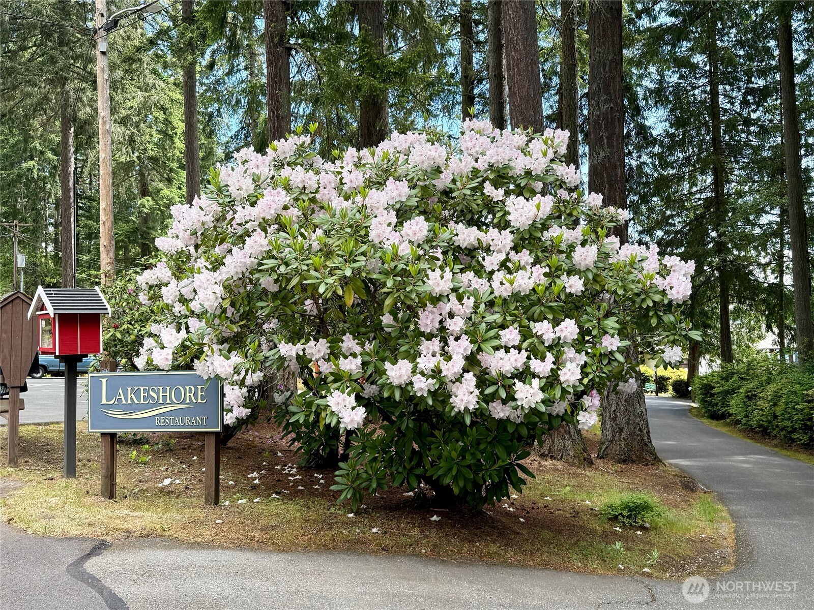 11321 Lake Josephine Avenue Anderson Island WA 98303