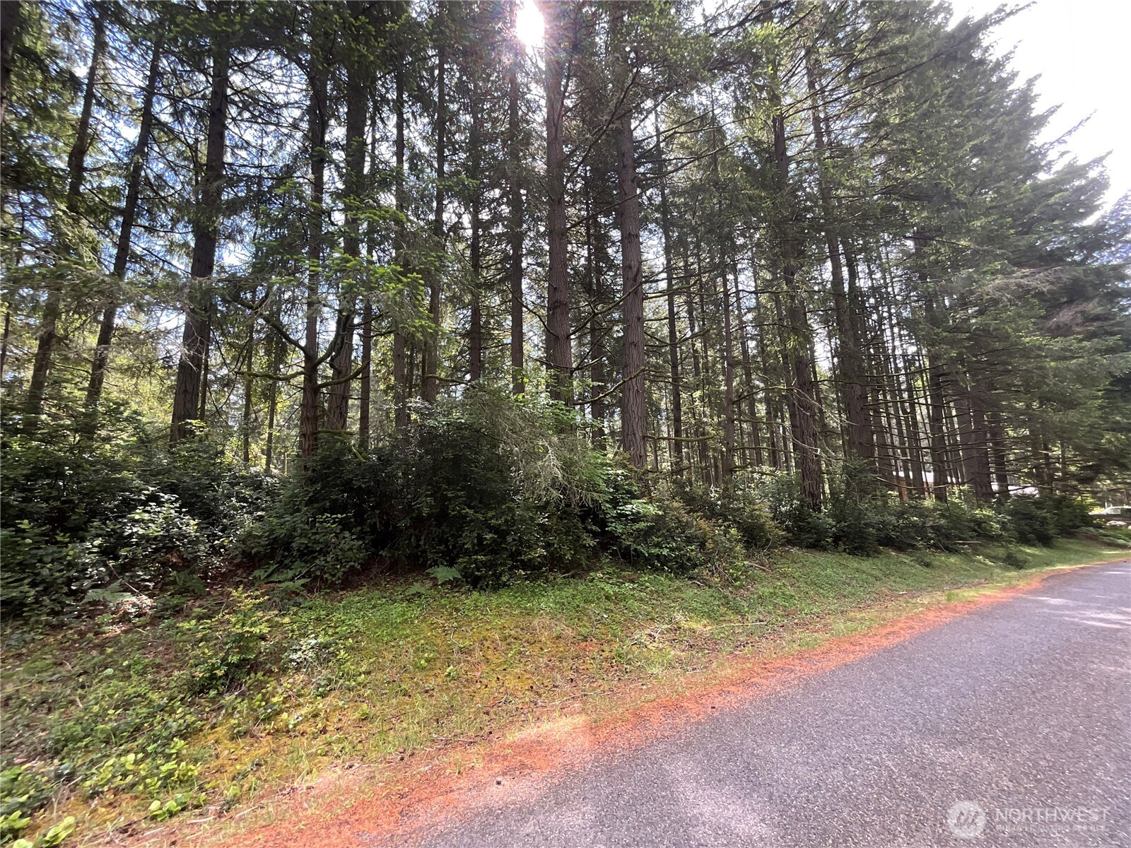 11321 Lake Josephine Avenue Anderson Island WA 98303