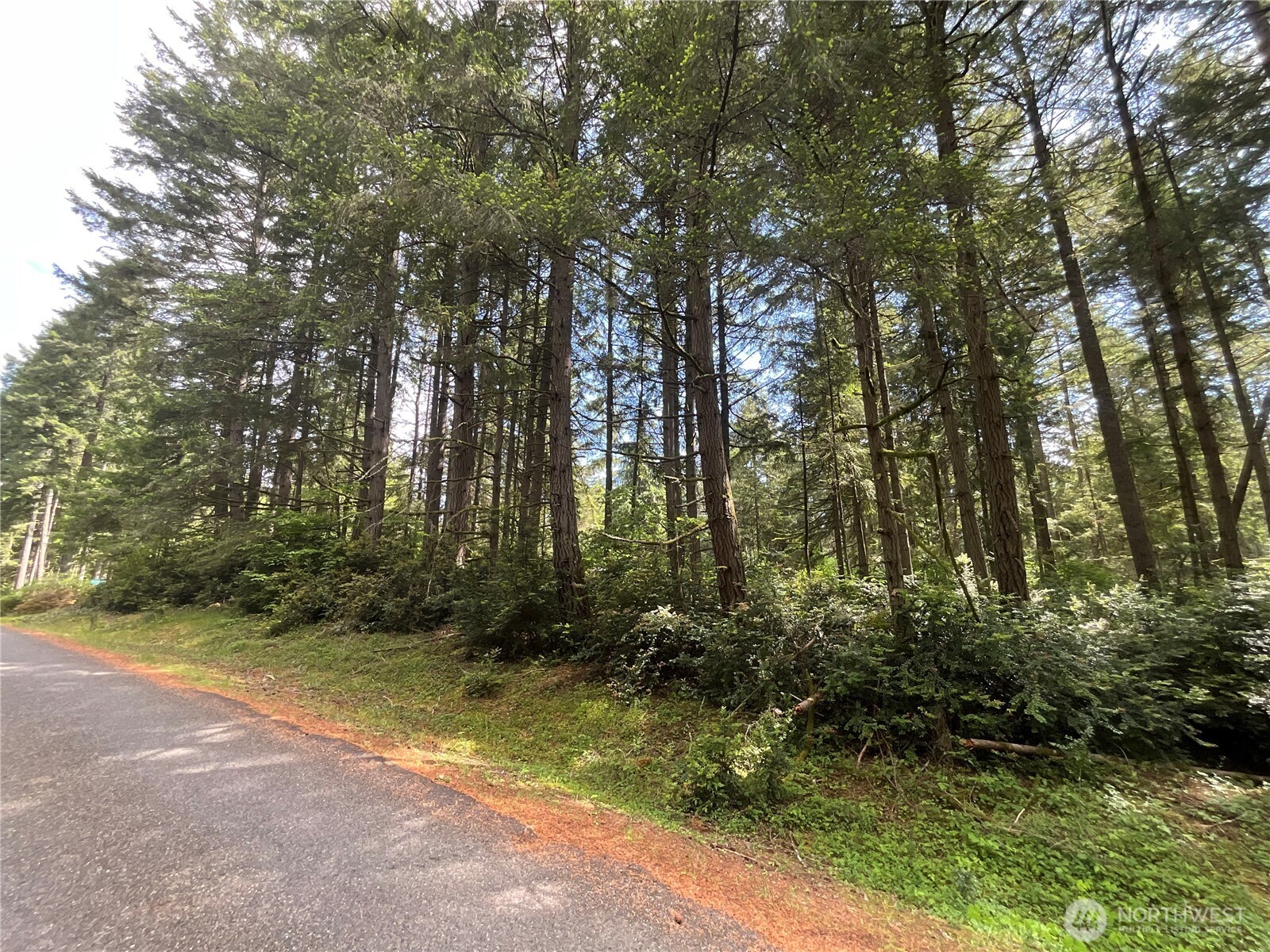 11321 Lake Josephine Avenue Anderson Island WA 98303