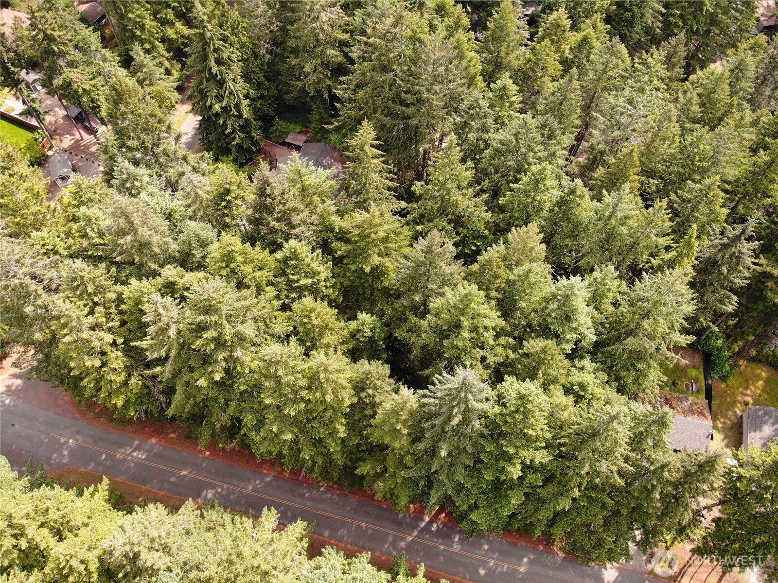 11321 Lake Josephine Avenue Anderson Island WA 98303