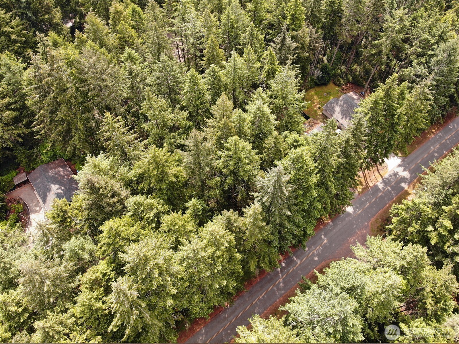 11321 Lake Josephine Avenue Anderson Island WA 98303
