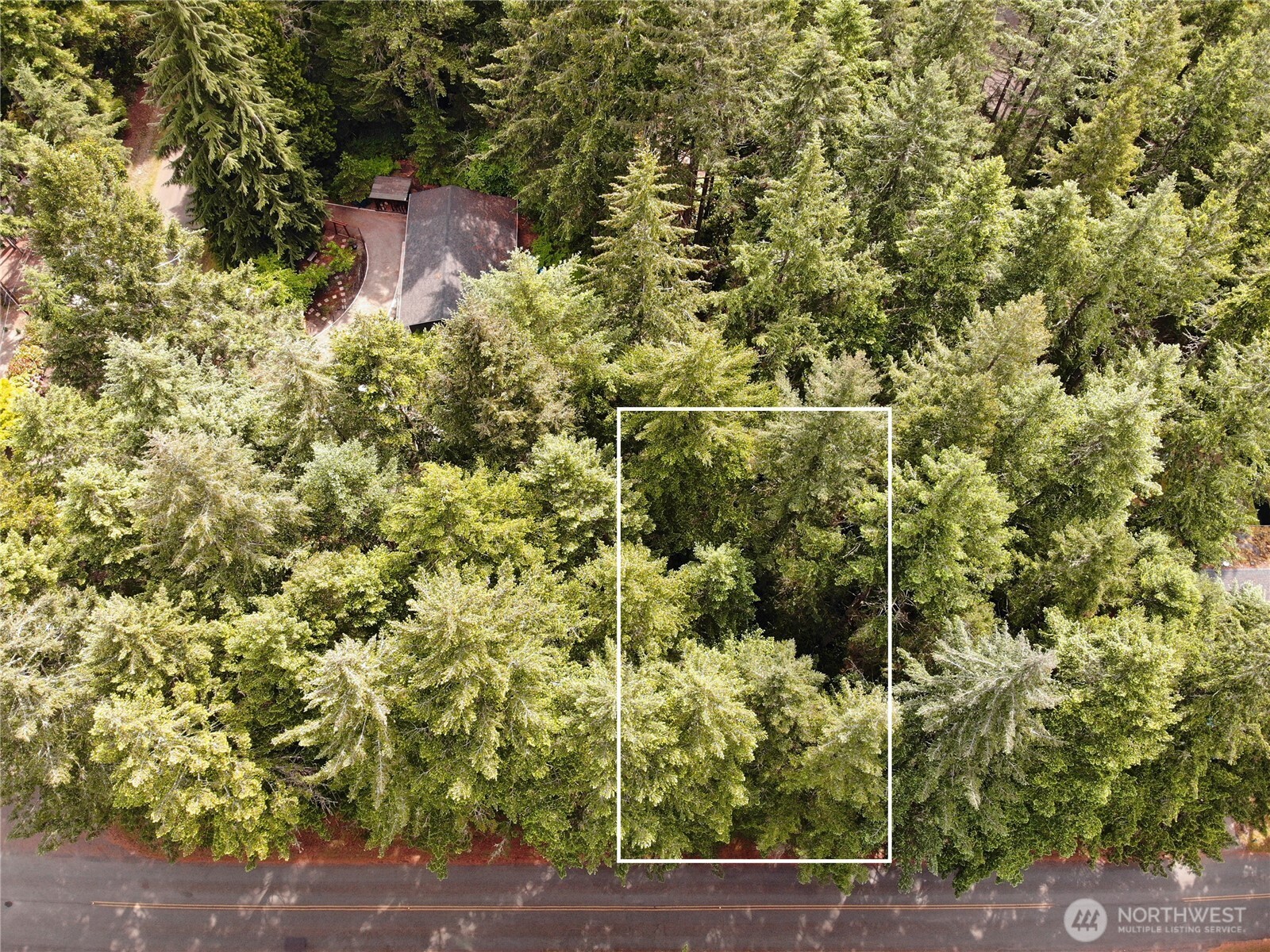 11321 Lake Josephine Avenue Anderson Island WA 98303