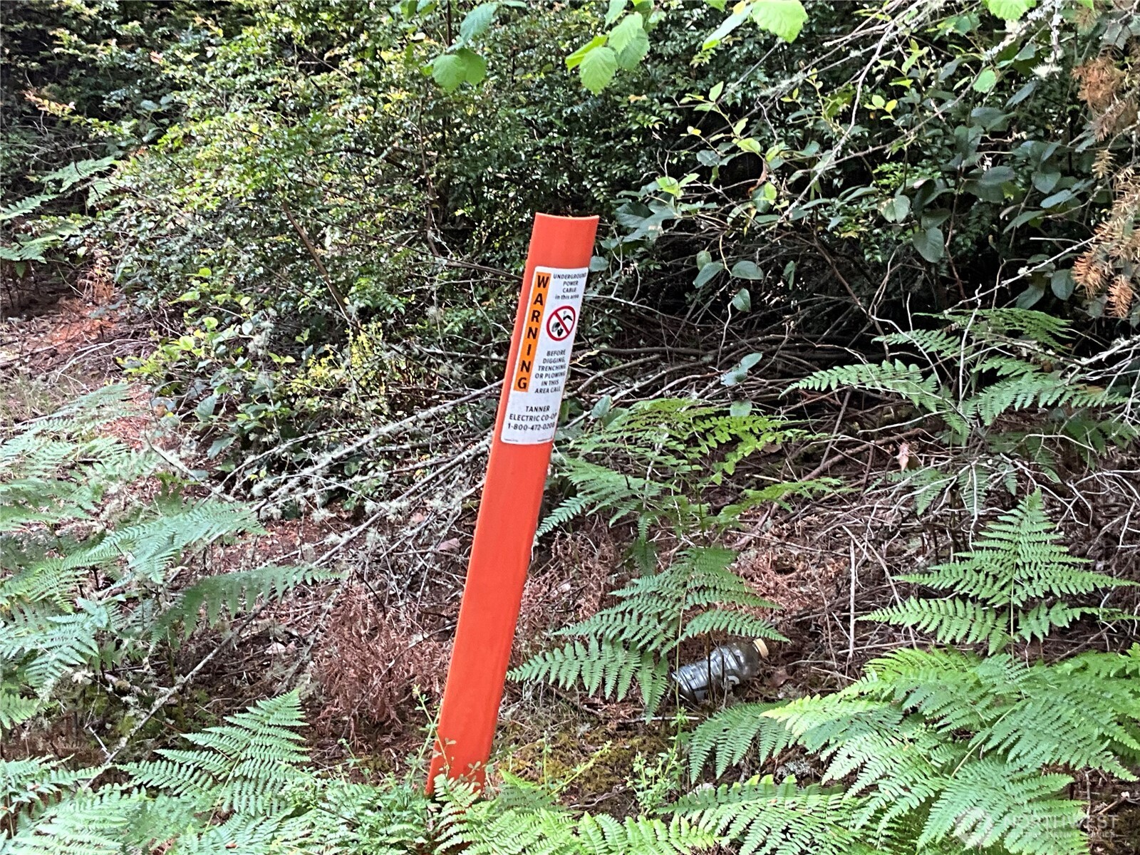 11321 Lake Josephine Avenue Anderson Island WA 98303