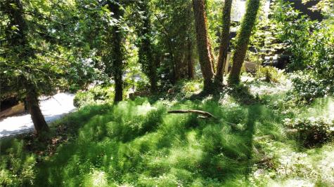 7421 E Mercer Way Mercer Island WA 98040