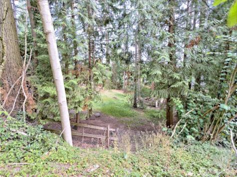 17204 Northup Way Bellevue WA 98008