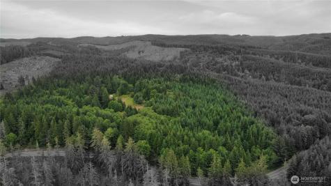 1608 E Hoquiam Road Hoquiam WA 98550