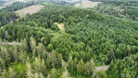 1608 E Hoquiam Road Hoquiam WA 98550