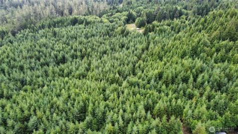 1608 E Hoquiam Road Hoquiam WA 98550