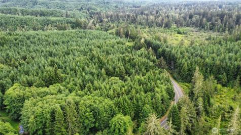 1608 E Hoquiam Road Hoquiam WA 98550